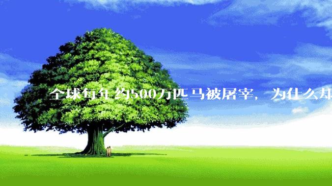 全球每年约500万匹马被屠宰，为什么却见不到中国人吃马肉？